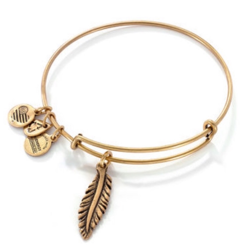 NEW Alex and Ani Feather Charm Rafaelian Bangle